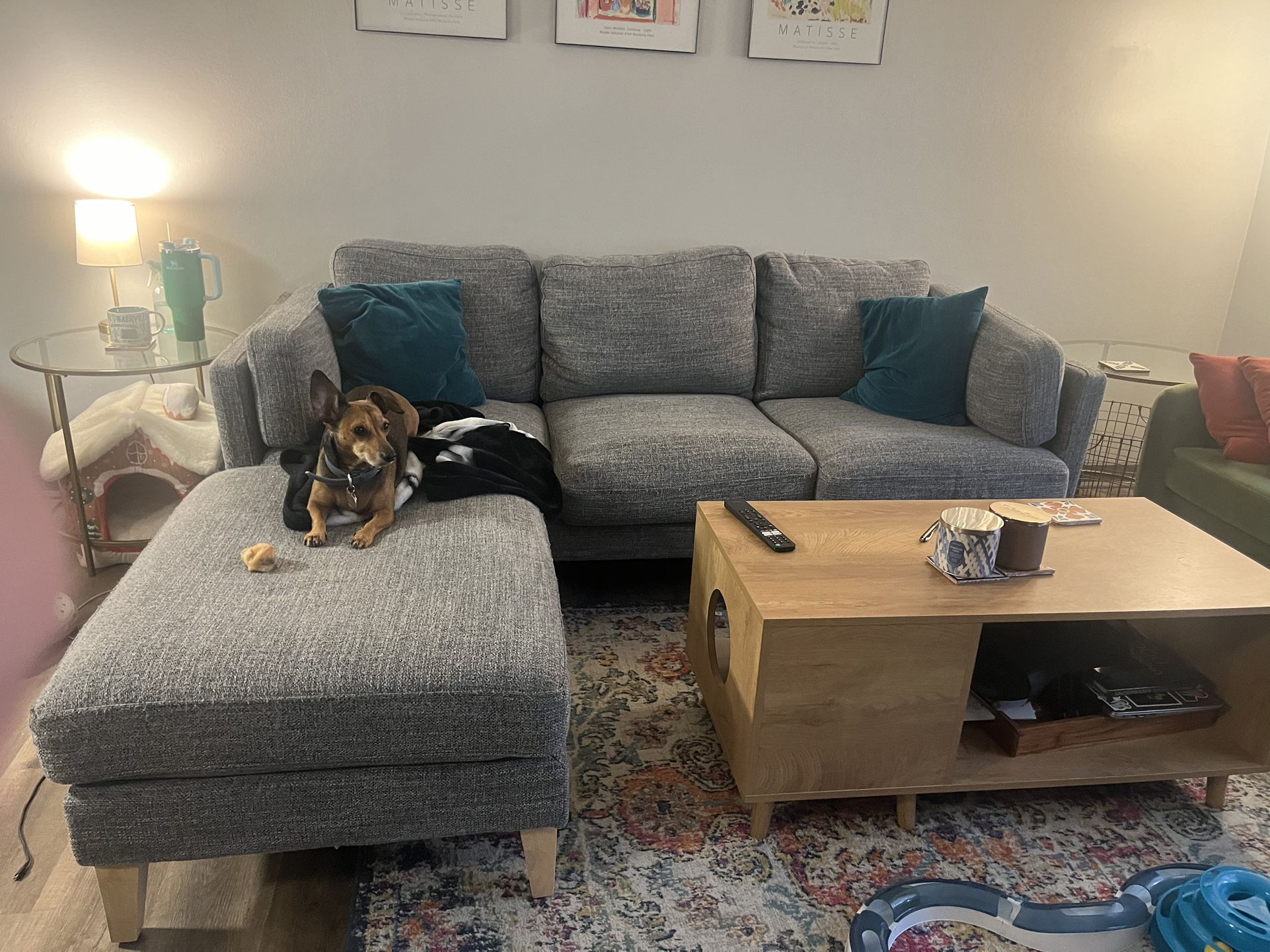 World Market Couch (Dog Not Included)