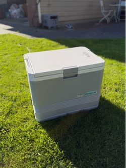 Igloo car fridge