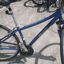 Raliegh route 3.0
