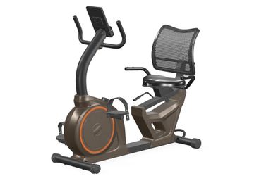 Niceday Recumbent Exercise Bike, Recumbent Bike for Home, Recumbent Stationary Bike 400LBS Weight Capacity, Magnetic Recumbent Bike with Smart APP, LC