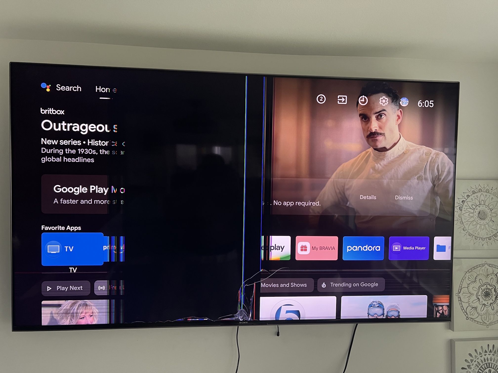 Sony Bravia