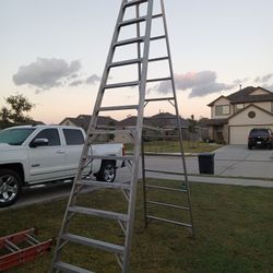 14 Ft Ladder