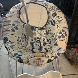 Baby Swinger