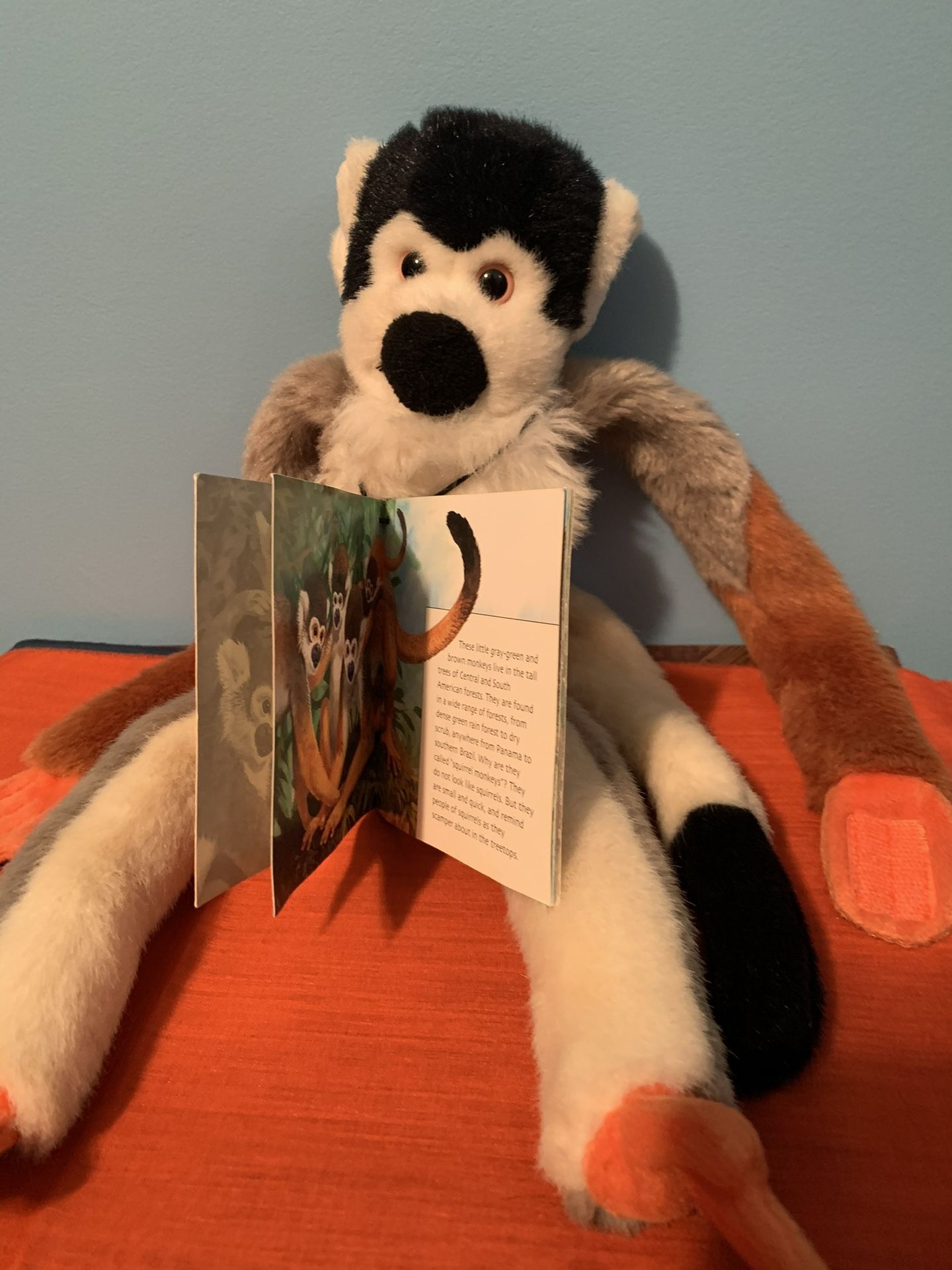 Plush Squirrel Monkey With Small Book