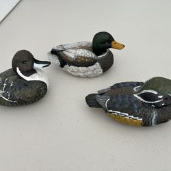 Ducks