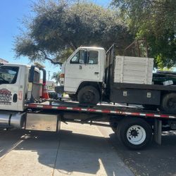 Automotive Transport
