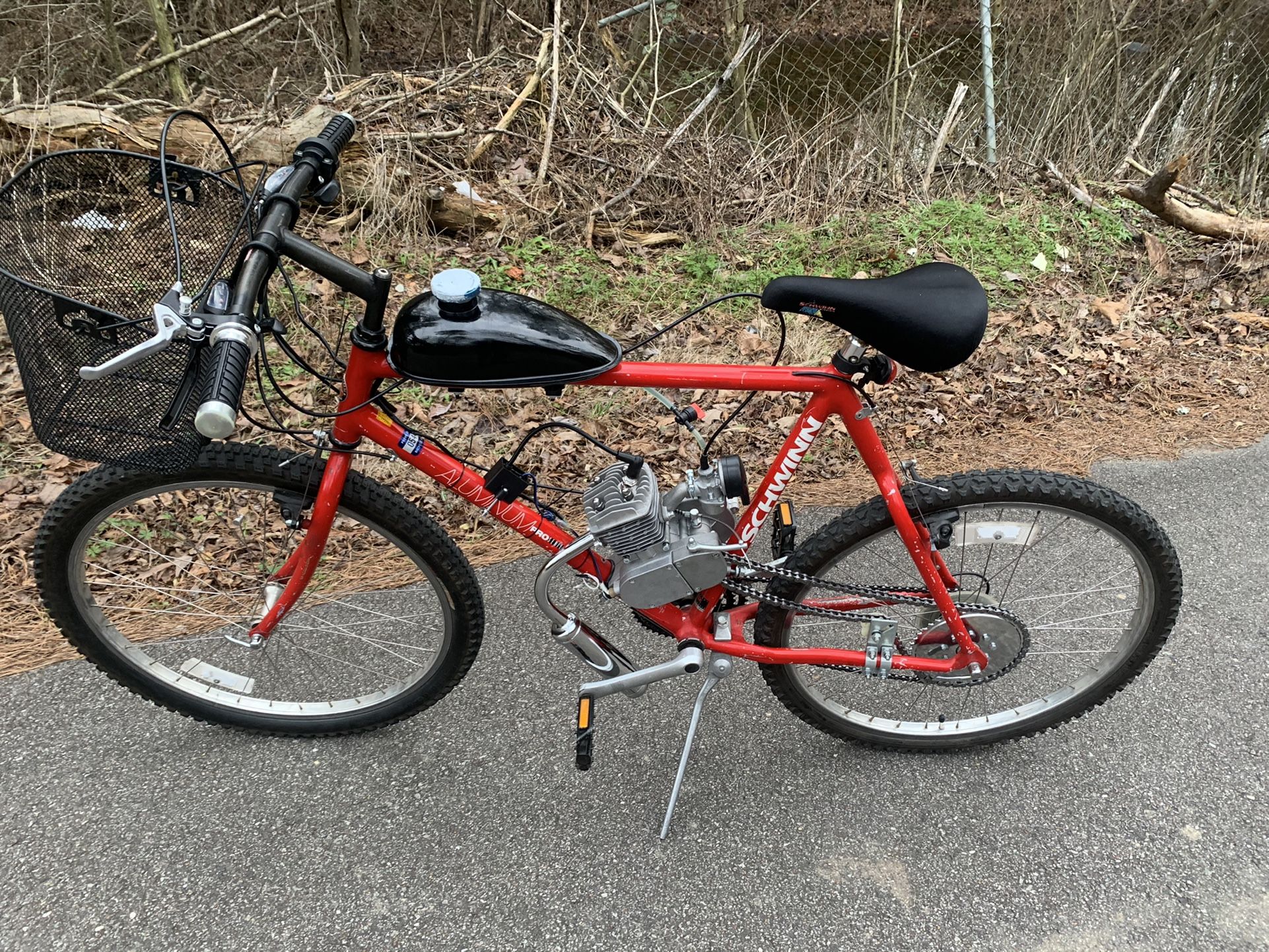 Motor Bike schwinn