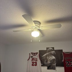 2 Fan For $35 Each 