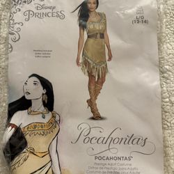 Disney Pocahontas Costume 