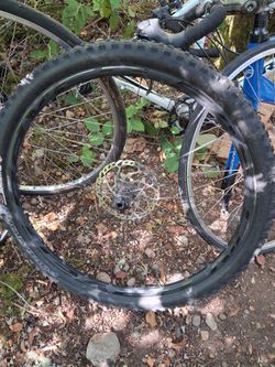 Easton havoc carbon 29-inch Mountain Bike Wheelset with Disc Rotors
