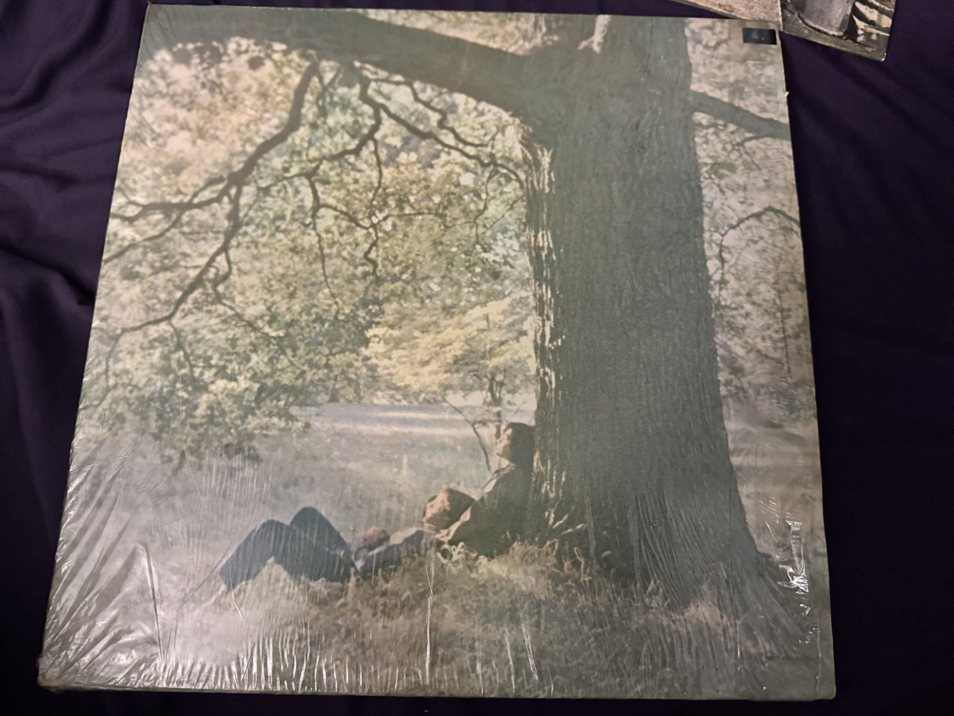 john lennon/plastic ono band vynl record