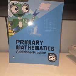 Primary Mathematics Additional Practice Workbook Grade 5B
