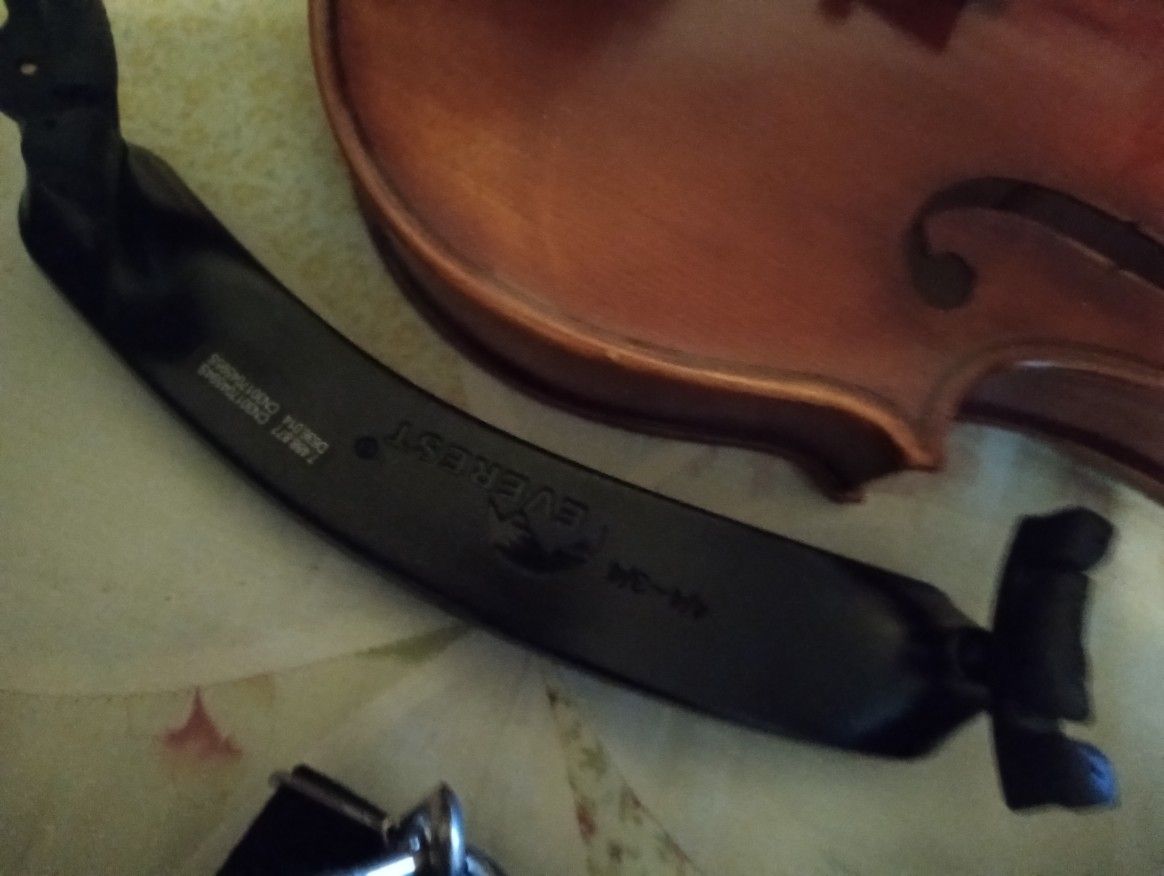 Violin