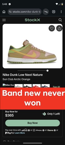 Nike dunks sun edition