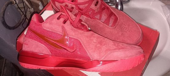 New Nike Zoom LeBron NXXT Gen AMPD Sz10