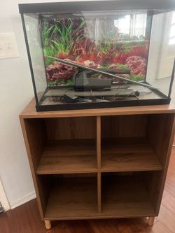 Fish tank and book case