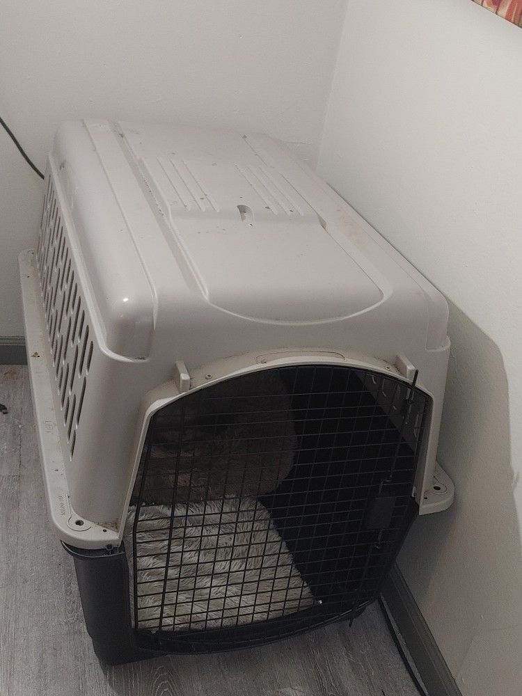 Dog Crate XL 40 Inches