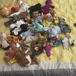 Large Beanie Babies Collection 