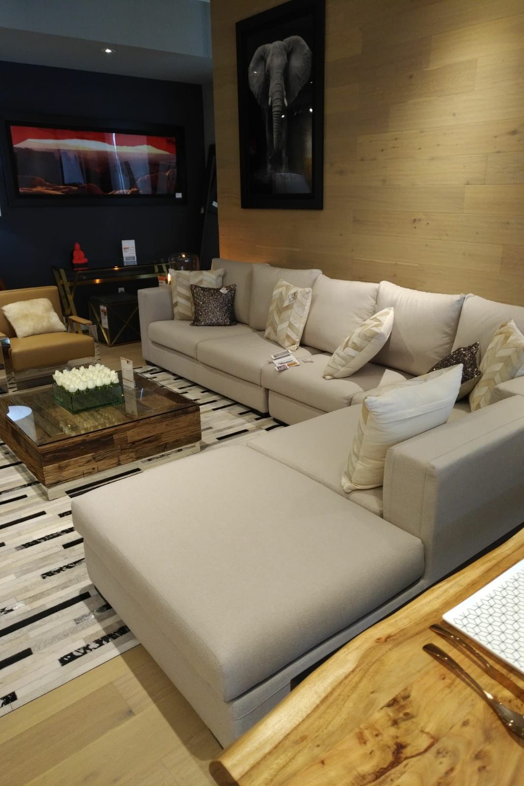 Immaculate Condition, Modani Couch, Selling Fast 
