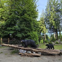 Hand Carved Black Bears on A Log