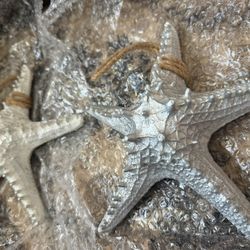 White & Grey Start  Coastal Polygons Wall Decor 