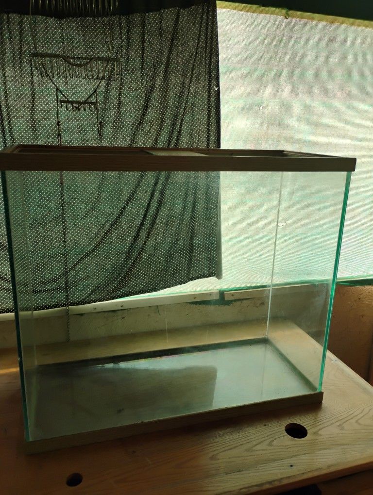 Large Fish Tank