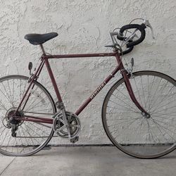 Vintage nishiki Roadbike