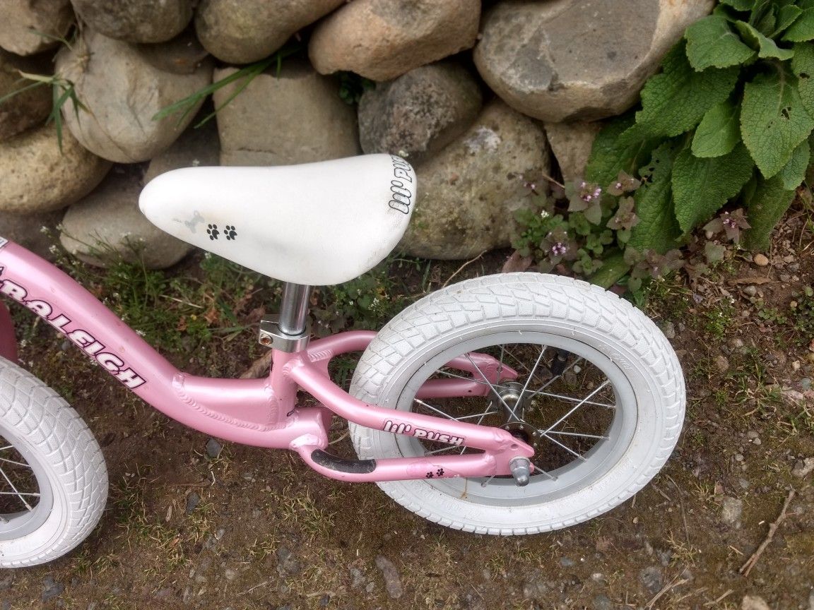 raleigh lil push balance bike