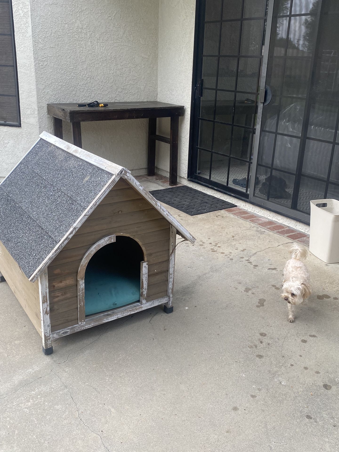 Dog House 