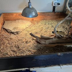 Reptile//Tortoise Enclosure