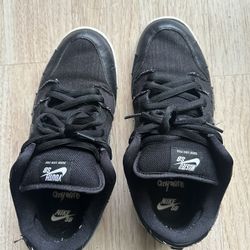 Nike SB Dunks Wasted Youth