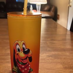 Custom Design Pluto Tumbler With lid and straw