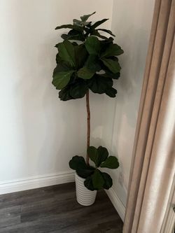 Decorative Faux Plant