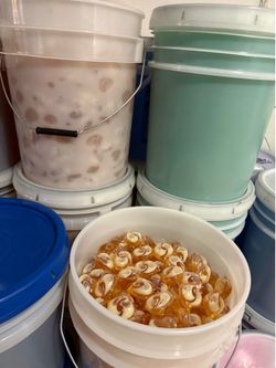 Pods/ Laundry Detergent/ Dish Soap/ Car Wash Soap/ Fabric Softener/ Degreaser/ Multipurpose cleaner/ Scent Beads