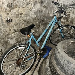 Mountain Bike