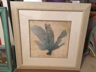 2 Beautiful Teal Sea fan Beautifully Framed & Double Matted - 21 3/4” Square - (Pd $70 EACH) $30 For Both!!