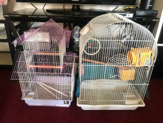 Bird cages