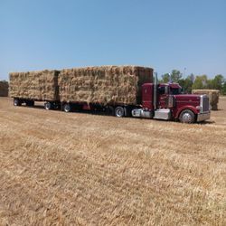 2-way Hay For Sale 