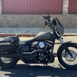 2019 Harley Davidson Street Bob FXBB