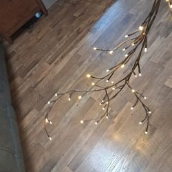 Willow Branches With Lights.  