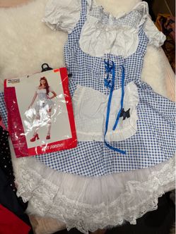 Adult Dorothy Costume Sz M