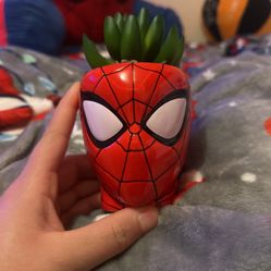 spider man plant 
