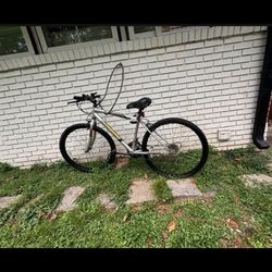 Bikes 