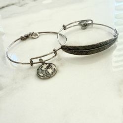 Alex and Ani Bangle Bracelets – Set of 2