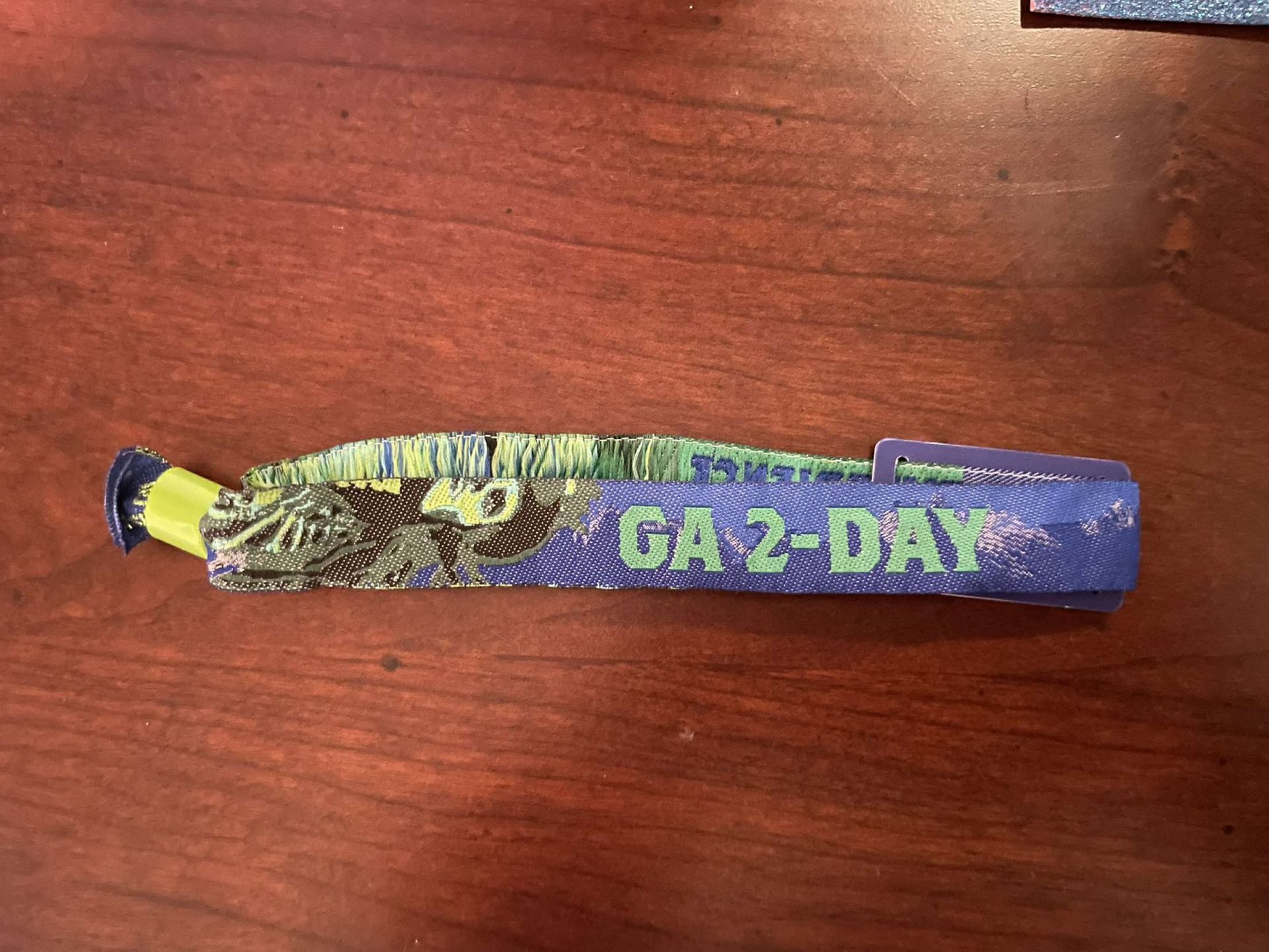 GA 2 Day Escape Ticket 