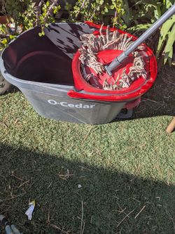 Bucket with mop