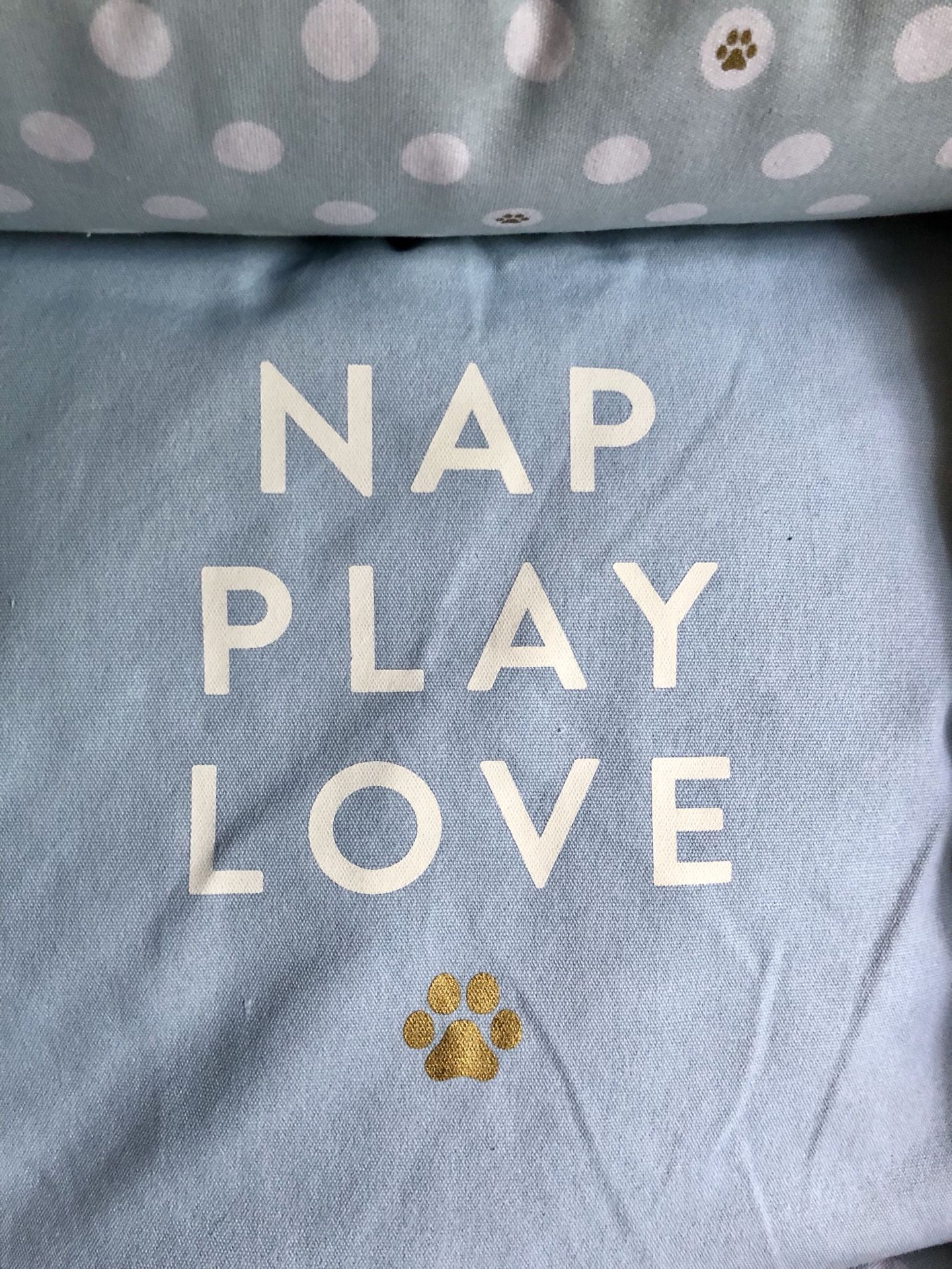 FRINGE STUDIOS ORTHOPEDIC CUDDLER PET BED W/Memory Foam Insert 25” X 21