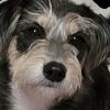 Marle