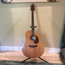 Breedlove Guitar