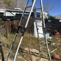 Folding Ladder
